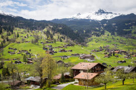 Entdecke die Schönheit des Schweizer Sommers