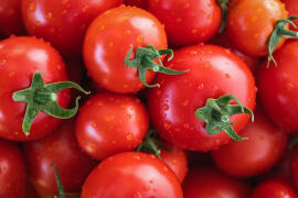 Jak využít velkou nadílku rajčat