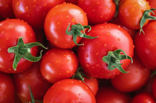 Jak využít velkou nadílku rajčat