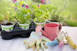 Podzimní péče o zahradu vám usnadní práci na jaře
